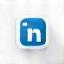 LinkedIn social media icon